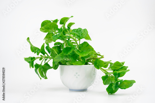 green leaves of watercress in white bowl on white background