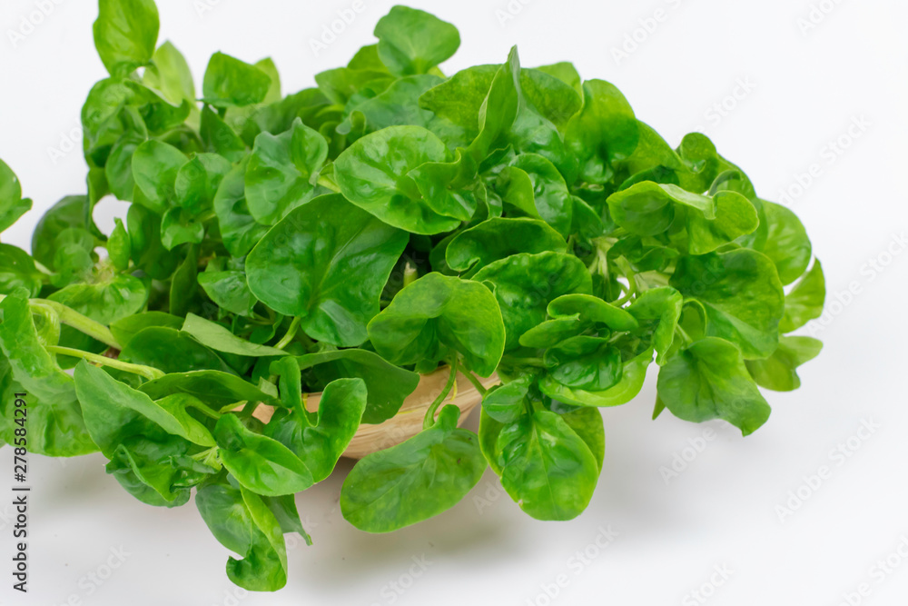 green leaves of watercress in wicker bowl on white background green leaves of watercress in wicker bowl on white background
