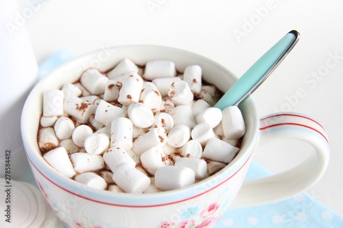 A Cup of cocoa and marshmallows on a white background.