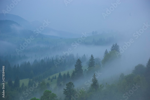Morning pre-bright fog on the slopes of the mountains in the Carpathians  Ukraine