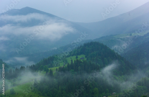 Morning pre-bright fog on the slopes of the mountains in the Carpathians, Ukraine