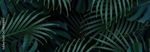 Branch palm realistic. Leaves and branches of palm trees. Tropical leaf background.