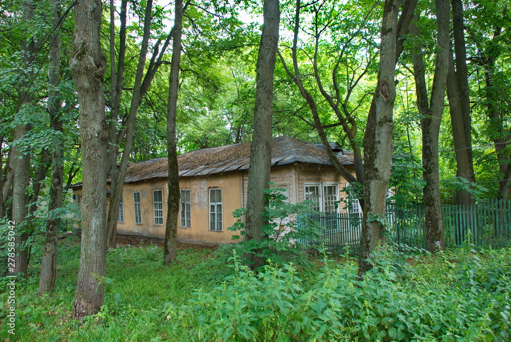 Abandoned house in the forest, surrounded by green trees Abandoned house in the forest, surrounded by green trees