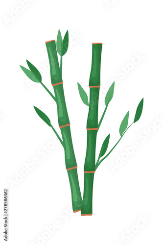 Bamboo sticks  stems flat vector illustration