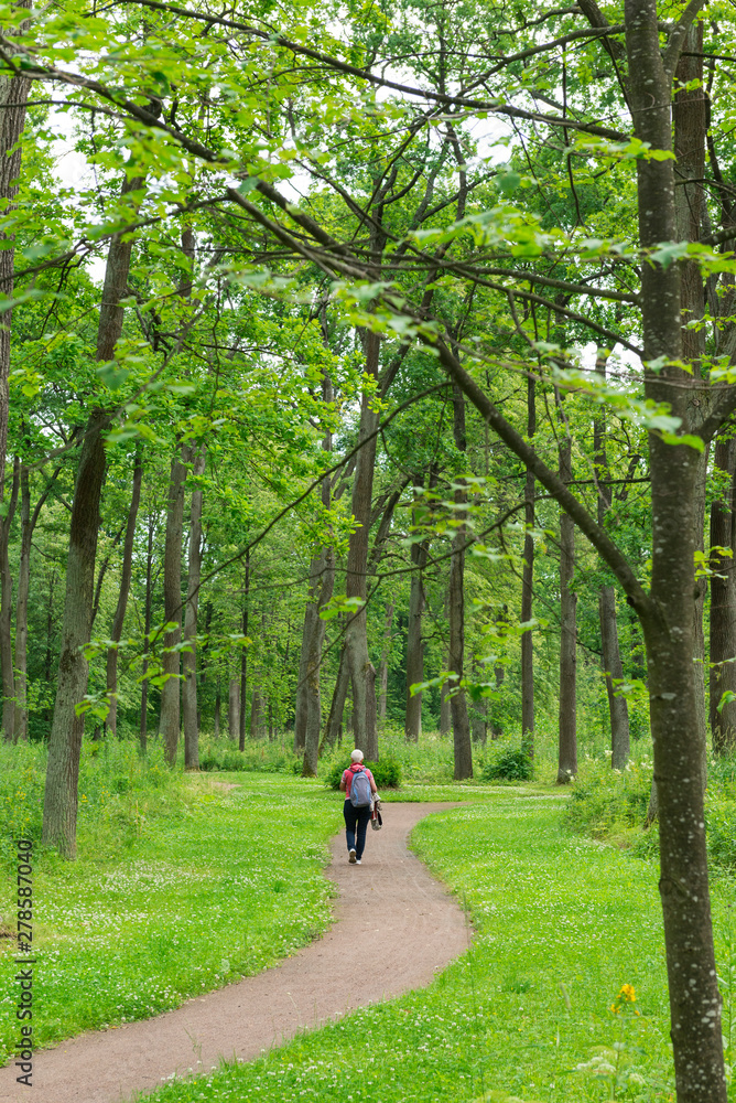 man walks path in the forest among the tall green trees man walks path in the forest among the tall green trees