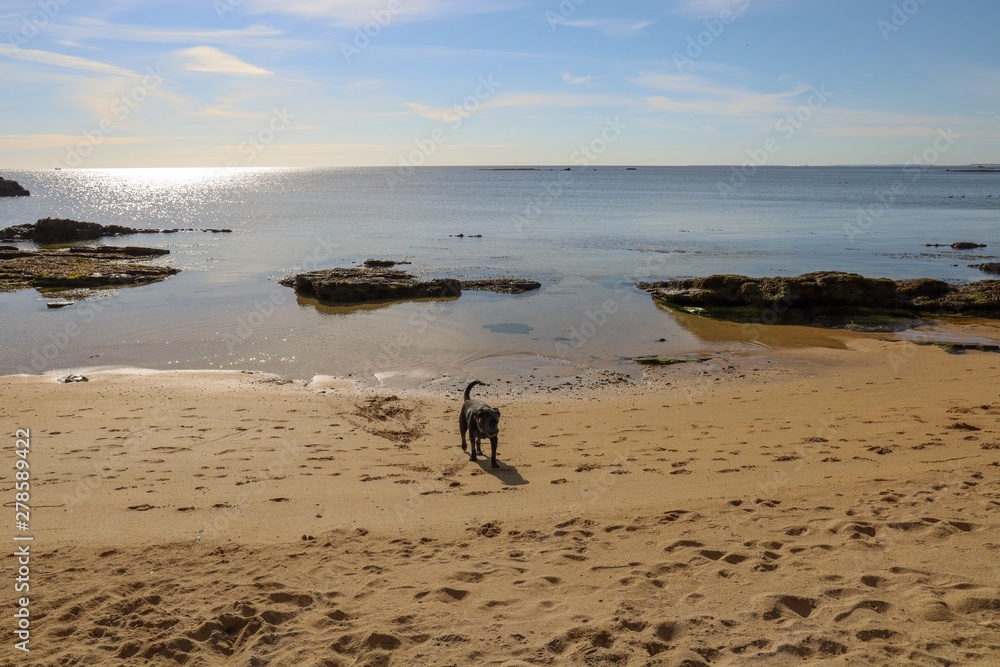 walking on beach