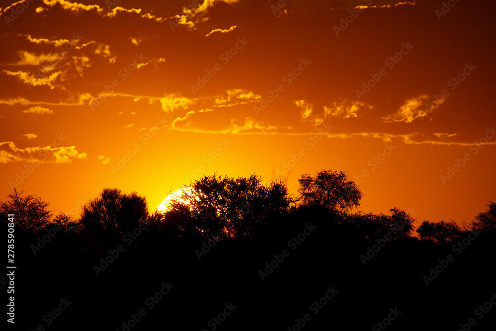 Landschaft in Namibia Afrika