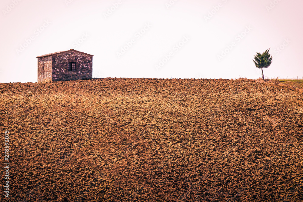 A small house and a small tree on the plowed land - Landscape of Tuscany