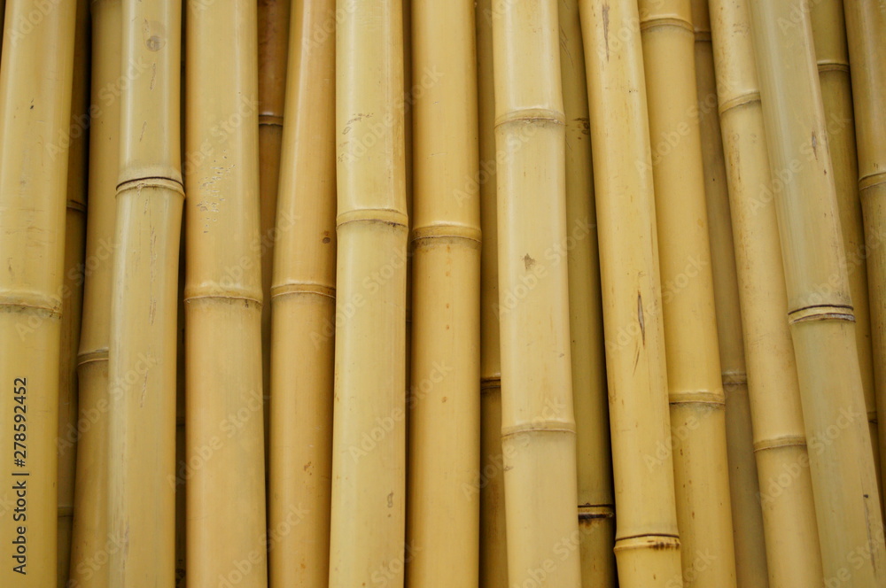 Fototapeta premium Asian bamboo fence wall material