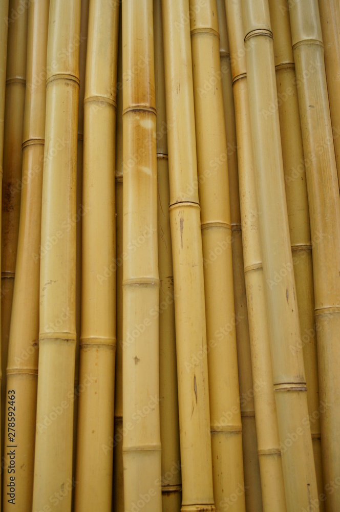 Fototapeta premium Asian bamboo fence wall material