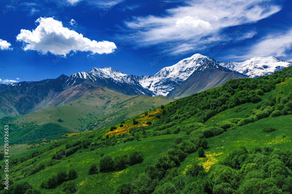 Fototapeta premium Beautiful view of alpine meadows in the Caucasus mountains. Pastures, meadows on the slopes and snow-capped mountains.
