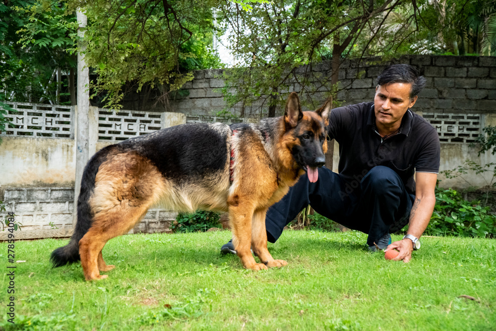 German Shepherd with Handler in Garden German Shepherd with Handler in Garden