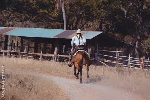 Cowboy riding horse.Cowboy on horseback. 