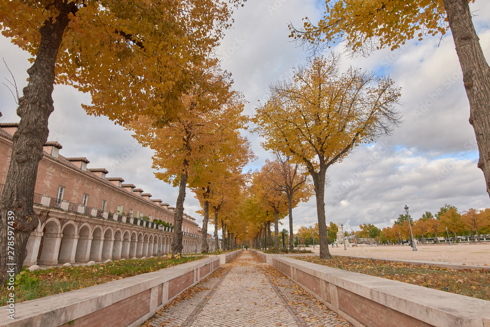 Naklejka premium Trees with yellow leaves in autumn and cloudy sky in Aranjuez