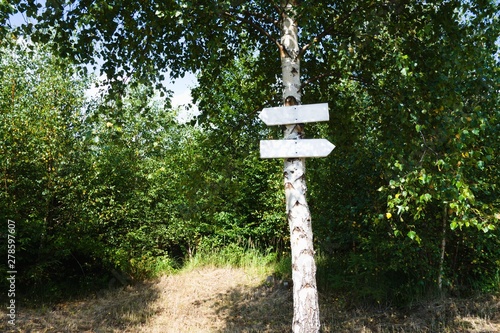Wooden white signpost (guidepost) on a tree in forest, arrows in left and right direction. With free blank copy place for custom text.