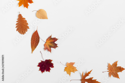 Autumn creative composition. Dried  leaves on white background. Fall concept. Autumn background. Flat lay  top view  copy space