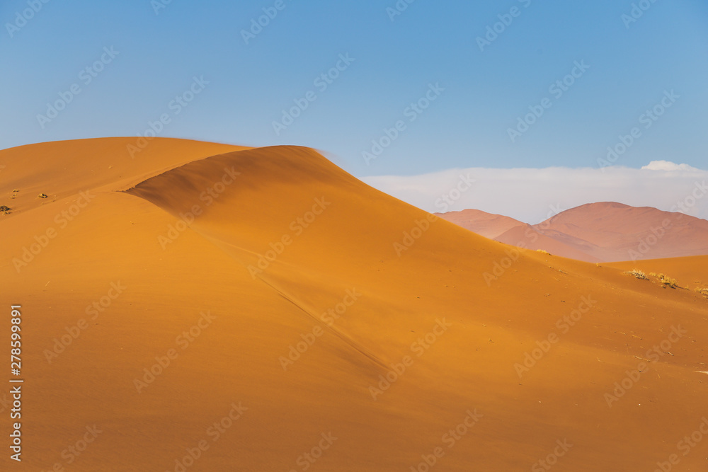 Superbe dune de sable et ciel bleu
