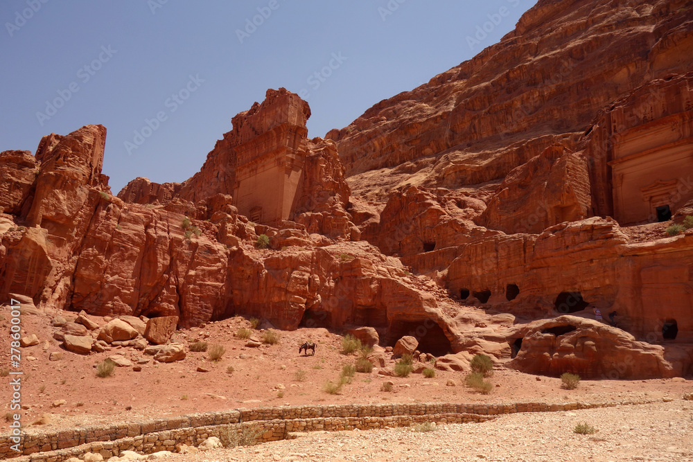 Petra Jordania osiołek Petra Jordania osiołek