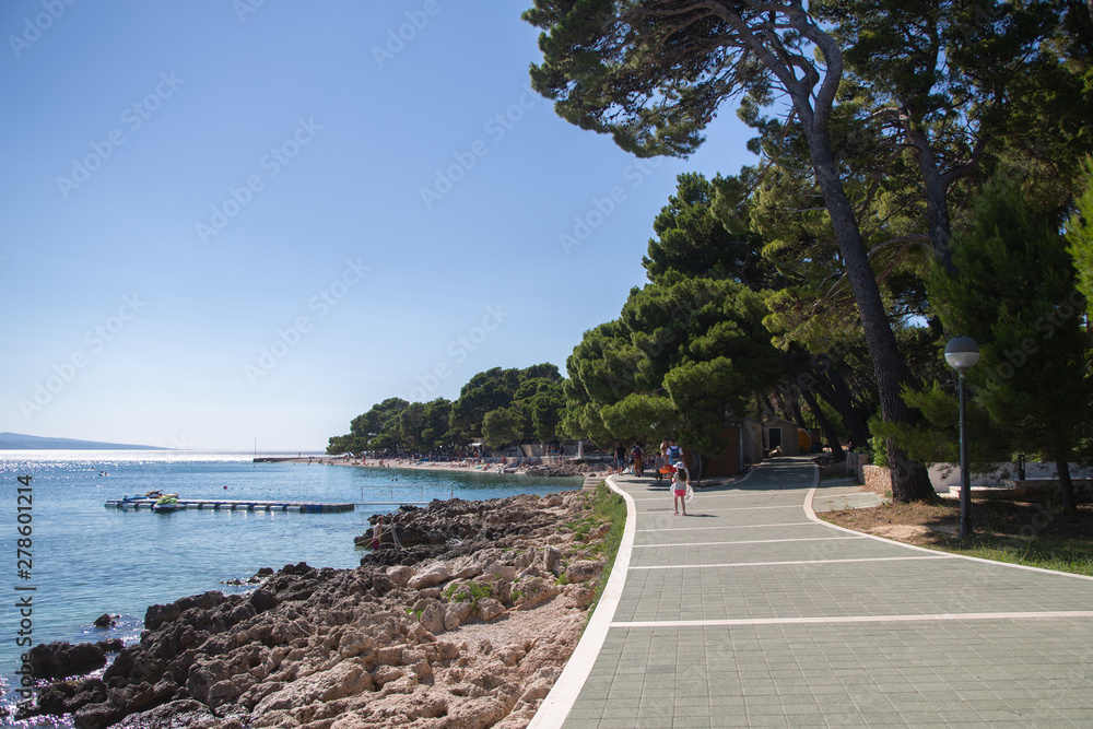 Beautiful Adriatic Sea coast near Brela, pines, rocks and azure sea, Makarska Riviera, Punta Rata, Croatia Beautiful Adriatic Sea coast near Brela, pines, rocks and azure sea, Makarska Riviera, Punta Rata, Croatia