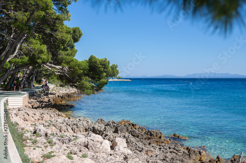 Fototapeta Naklejka Na Ścianę i Meble -  Beautiful Adriatic Sea coast near Brela, pines, rocks and azure sea, Makarska Riviera, Punta Rata, Croatia