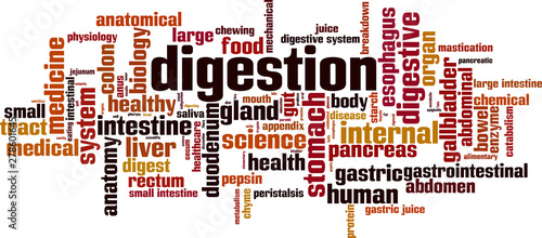 Digestion word cloud