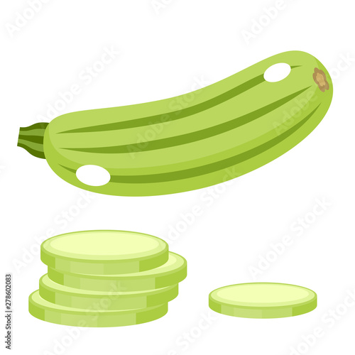 Vegetable marrow on a white background. Vector illustration