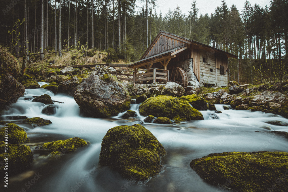 Fototapeta premium Old abandoned mill in mystic forest on a cloudy moody day