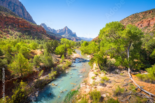 Obraz na płótnie Zion National Park scenery with The Watchman peak and Virgin river in summer, Utah, USA w salonie