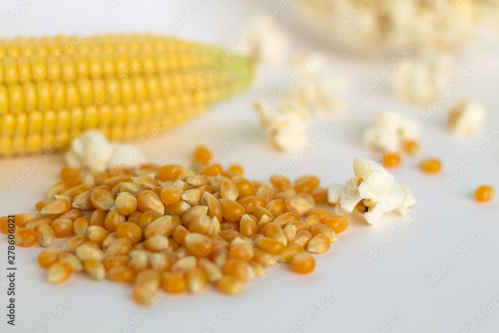 yellow corn and white popcorn on white background. grain of corn. yellow corn and white popcorn on white background. grain of corn.