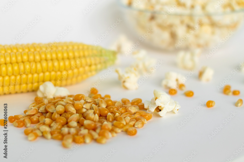 yellow corn and white popcorn on white background. grain of corn. yellow corn and white popcorn on white background. grain of corn.