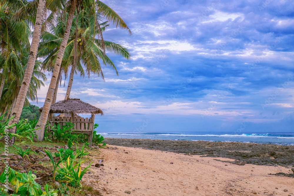 Beautiful beach. View of nice tropical beach with palms around. Holiday and vacation concept. Tropical beachat Philippines on the coast island Siargao