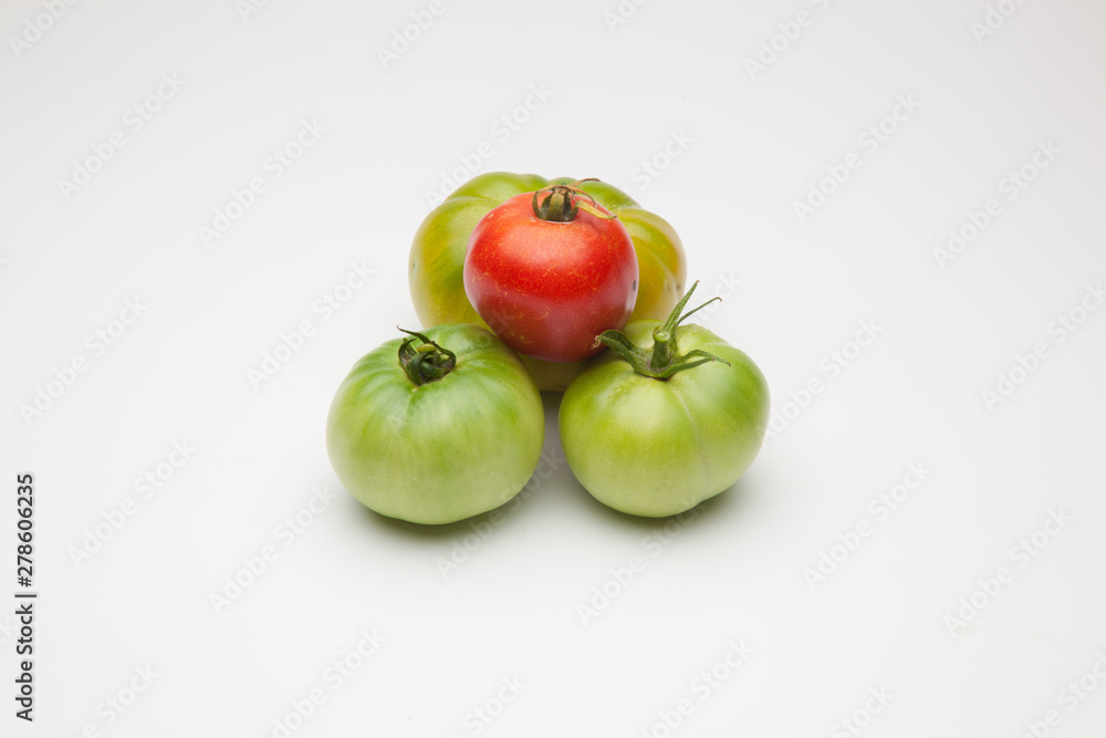 Proceso de maduración del tomate, se recoge verde de la planta y se deja madurar fuera, en neveras para que llegue y se mantenga fresco durante mucho tiempo Proceso de maduración del tomate, se recoge verde de la planta y se deja madurar fuera, en neveras para que llegue y se mantenga fresco durante mucho tiempo