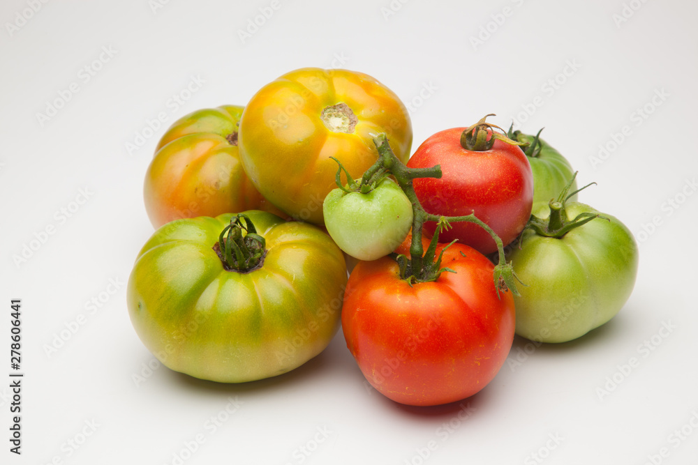Tomates verdes y rojos, tomates maduros y tomates por madurar; bodegón de tomates ecológicos que no nos los más bonitos del mundo pero si son los más sabrosos y llenos de vitaminas Tomates verdes y rojos, tomates maduros y tomates por madurar; bodegón de tomates ecológicos que no nos los más bonitos del mundo pero si son los más sabrosos y llenos de vitaminas