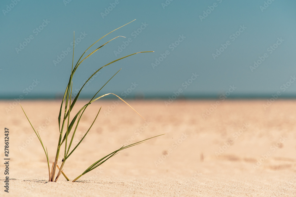 minimalsitic beach scene Baltrum minimalsitic beach scene Baltrum