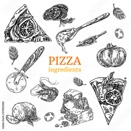 Set of pizza ingredients. Slices pizza, tomato, spoon with sauce, cutter, parmesan, mozzarella, shrimps, sausage, basil , pepper and olive. Sketch. Engraving style. Vector illustration.