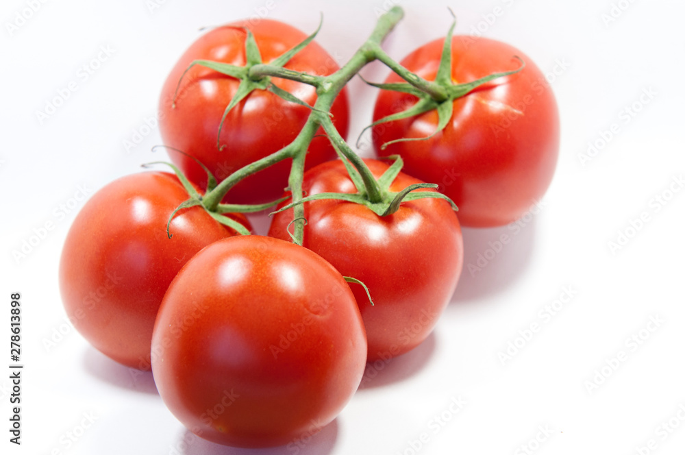 red tomatoes on a white background red tomatoes on a white background
