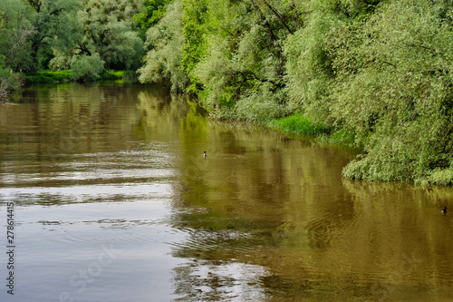 Eirskircher Ried beim Bodensee