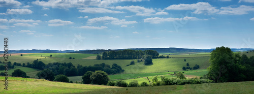 landscape with cattle in the belgian ardennes near stavelot