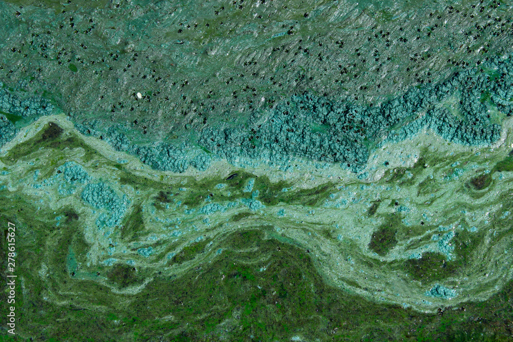 Naklejka premium Cropped shot of dirty water, top view. Ecology, environmental pollution, nature concept. Abstract colorful background texture.