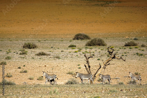 Namibia Afrika Rundreise
