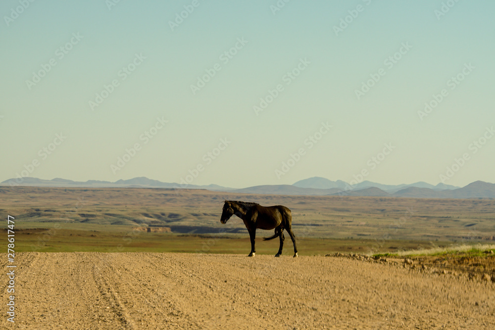 Namibia Afrika Rundreise