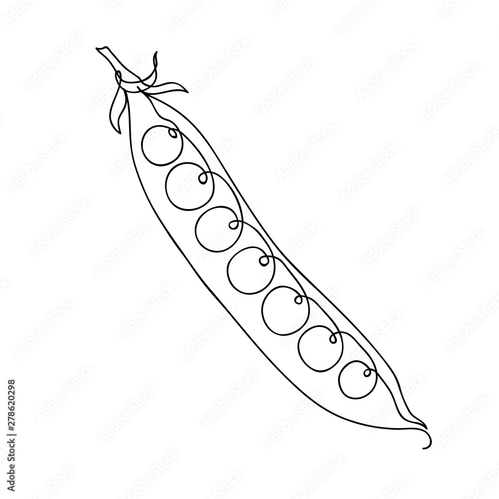 Hand drawn sketch green peas. isolated on white background. Continuous