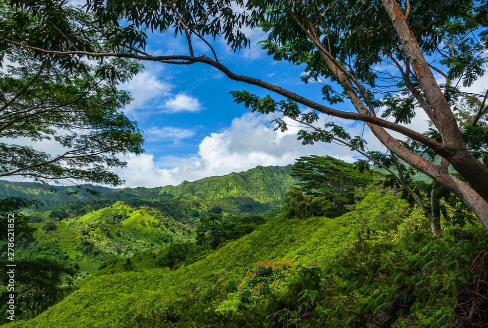 Stream flowing through lush tropical rainforest, Kubah National