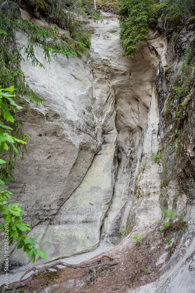 Obraz premium Sandstone formations close up. The cliff of Sietiniezis, Latvia. Gauja National Park.
