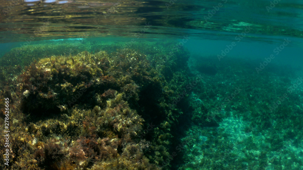 Fototapeta premium Split of above and underwater photo of iconic and beautiful small cove and sandy clear turquoise beach of Agios Sostis, Mykonos island, Greece