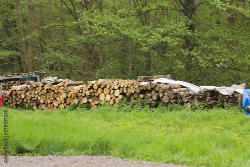 Stacked firewood in the garden (Germany, Europe)
