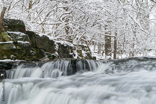 river in winter