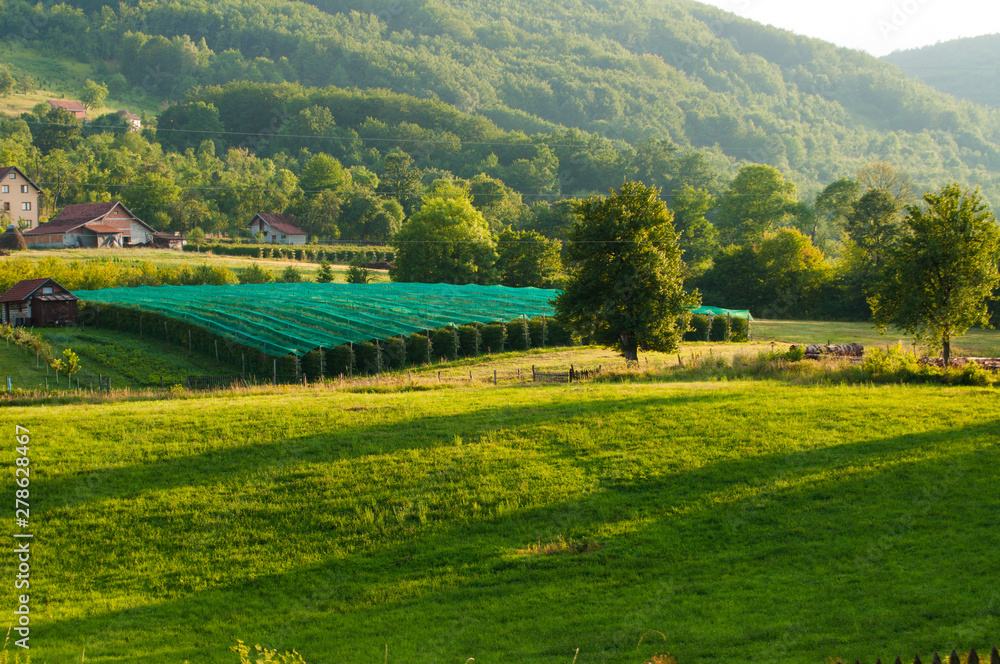 Beautiful natural landscape in the summer time.Mountain Beautiful natural landscape in the summer time.Mountain