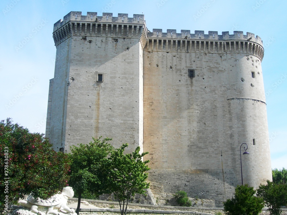 le château fort de Tarascon