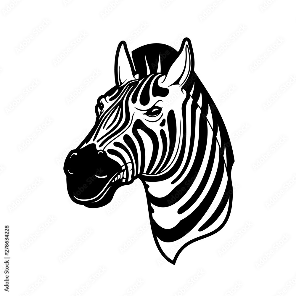 Fototapeta premium Zebra animal head, black and white african horse